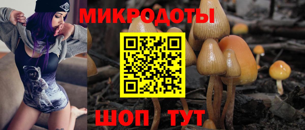 Псилоцибиновые грибы мицелий  Вход с VPN  Псилоцибиновые грибы Cubensis  Алексин 
